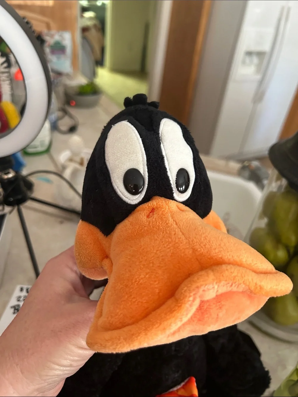 Warner Bros. Daffy Duck Plush Pet Toy - Black & Orange